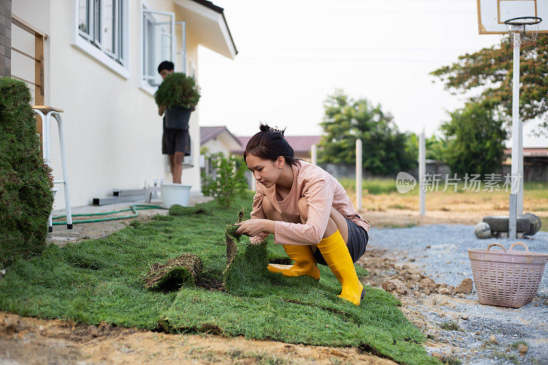 Planting grass sheet on ground